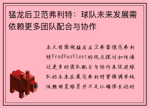 猛龙后卫范弗利特：球队未来发展需依赖更多团队配合与协作